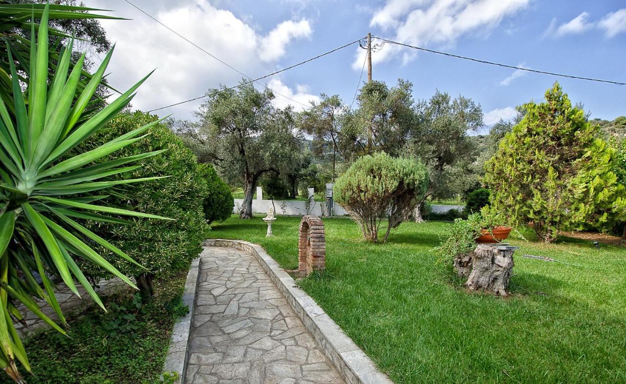 Panagou Studios Skopelos stad Exteriör bild