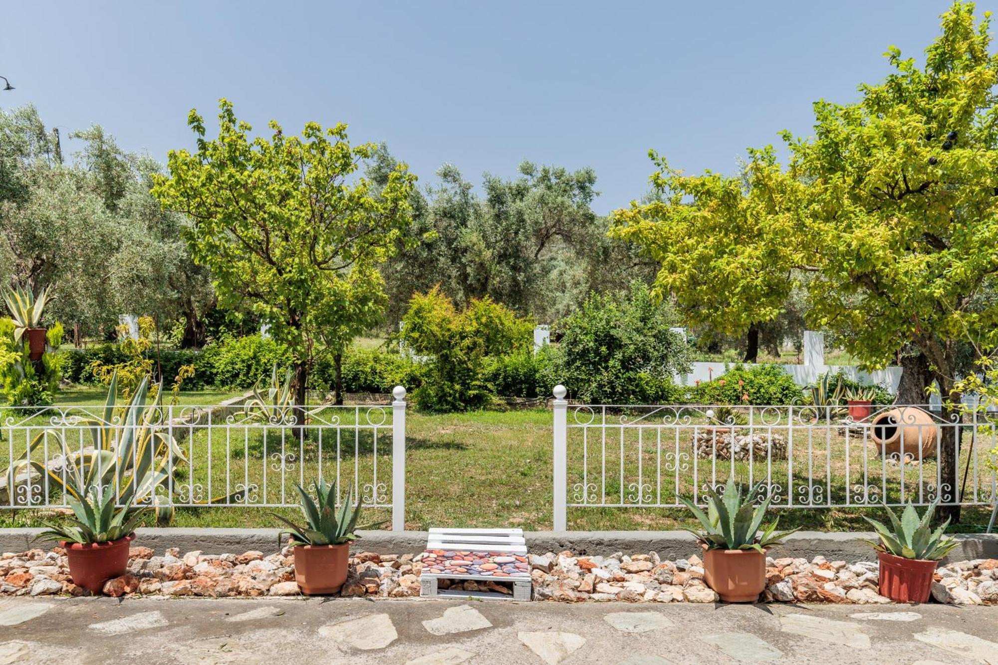 Panagou Studios Skopelos stad Exteriör bild